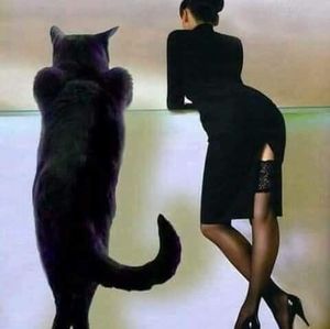 Meet your Posher, Cindy